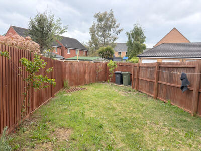 Picture 11